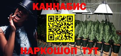 МДПВ Аша