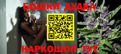 МДПВ Аша