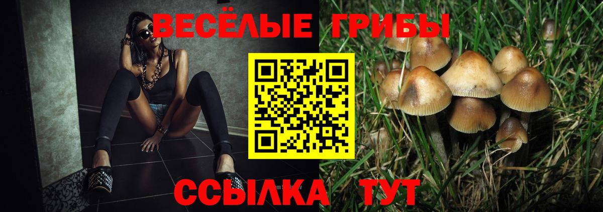 магазин  наркотиков  Галлюциногенные грибы GOLDEN TEACHER  Галлюциногенные грибы MAGIC MUSHROOMS  Вход с VPN  Оренбург 